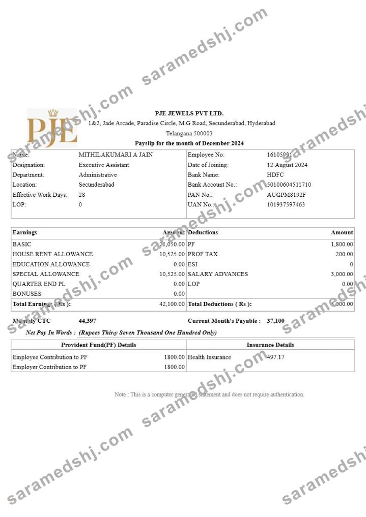 PJE Jewels payslip template in Word and PDF formats.pdf, 1
